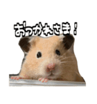 ジャム日記1！（個別スタンプ：4）