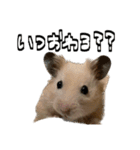 ジャム日記1！（個別スタンプ：6）