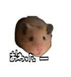 ジャム日記1！（個別スタンプ：7）