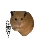 ジャム日記1！（個別スタンプ：8）