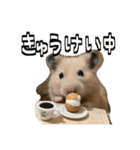 ジャム日記1！（個別スタンプ：9）