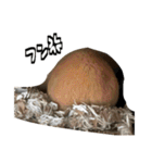 ジャム日記1！（個別スタンプ：11）