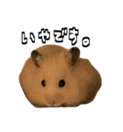 ジャム日記1！（個別スタンプ：18）