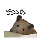 ジャム日記1！（個別スタンプ：22）