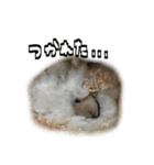 ジャム日記1！（個別スタンプ：28）