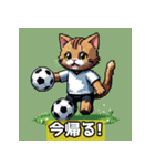 ネコがスポーツ？（個別スタンプ：3）