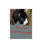 ねこ✖️猫✖️ネコ✖️ネゴっ！パート3（個別スタンプ：13）