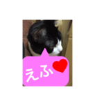 ねこ✖️猫✖️ネコ✖️ネゴっ！パート3（個別スタンプ：30）