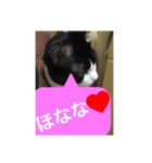 ねこ✖️猫✖️ネコ✖️ネゴっ！パート3（個別スタンプ：32）
