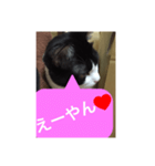 ねこ✖️猫✖️ネコ✖️ネゴっ！パート3（個別スタンプ：33）
