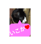 ねこ✖️猫✖️ネコ✖️ネゴっ！パート3（個別スタンプ：34）