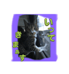 ラムちゃん可愛いね〜1（個別スタンプ：4）