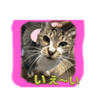 ラムちゃん可愛いね〜1（個別スタンプ：6）