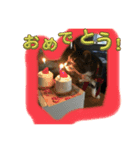ラムちゃん可愛いね〜1（個別スタンプ：8）
