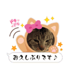 ねこのりゅう君 毎日のゆる敬語スタンプ（個別スタンプ：36）