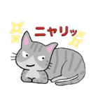 猫にゃん 灰トラちゃんの日常‼（個別スタンプ：6）