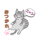 猫にゃん 灰トラちゃんの日常‼（個別スタンプ：11）