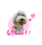 殿麻呂くん♂（個別スタンプ：2）