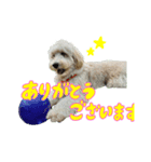 殿麻呂くん♂（個別スタンプ：3）