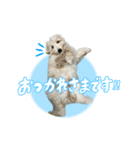 殿麻呂くん♂（個別スタンプ：4）