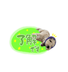 殿麻呂くん♂（個別スタンプ：5）