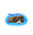 殿麻呂くん♂（個別スタンプ：6）
