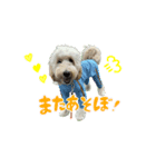 殿麻呂くん♂（個別スタンプ：7）