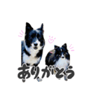 はなかとこなつ（個別スタンプ：1）
