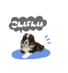 はなかとこなつ（個別スタンプ：14）
