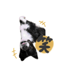 はなかとこなつ（個別スタンプ：17）