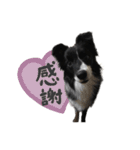 はなかとこなつ（個別スタンプ：19）
