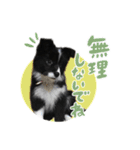 はなかとこなつ（個別スタンプ：20）