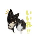 はなかとこなつ（個別スタンプ：21）