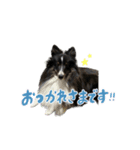 はなかとこなつ（個別スタンプ：22）