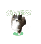 はなかとこなつ（個別スタンプ：23）