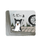 白黒猫ミルのおでかけ編（個別スタンプ：15）