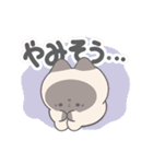 やむねこ（個別スタンプ：20）