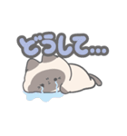 やむねこ（個別スタンプ：21）