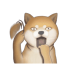 柴犬 Shiba 5（個別スタンプ：7）