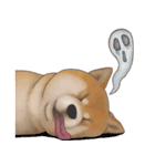 柴犬 Shiba 5（個別スタンプ：8）