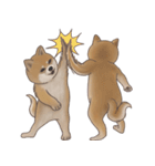 柴犬 Shiba 5（個別スタンプ：16）