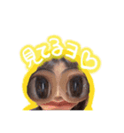 第2弾山本家の愉快な仲間たち（個別スタンプ：1）