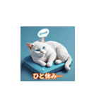 猫の日特集（個別スタンプ：5）