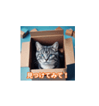 猫の日特集（個別スタンプ：10）