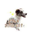 Aimer♂（個別スタンプ：6）