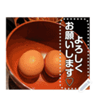 【実写】すき焼き食べたい♡文字変更自由（個別スタンプ：5）