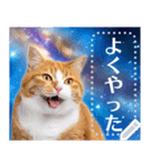 宇宙猫で会話しよう！【メッセージver】（個別スタンプ：2）