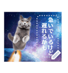 宇宙猫で会話しよう！【メッセージver】（個別スタンプ：3）