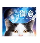 宇宙猫で会話しよう！【メッセージver】（個別スタンプ：6）