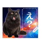 宇宙猫で会話しよう！【メッセージver】（個別スタンプ：9）